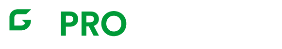 logo-prografico